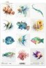 błazenek, skrzydlica, iglicznia, wargacz, mandaryn, papugoryba, akwarela, ryby*clownfish, lionfish, pipefish, wrasse, mandarinfish, parrotfish, watercolor, fish